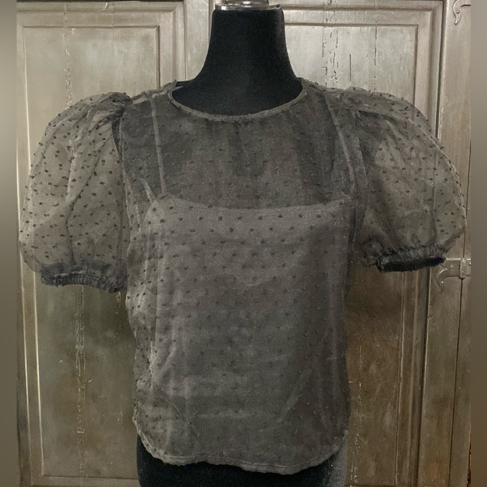 Tiny Willow black sheer crop top with attached cami - Size Medium